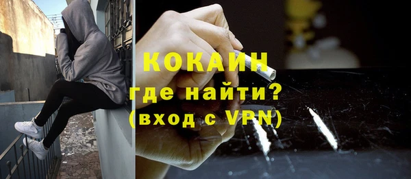крисы Бронницы