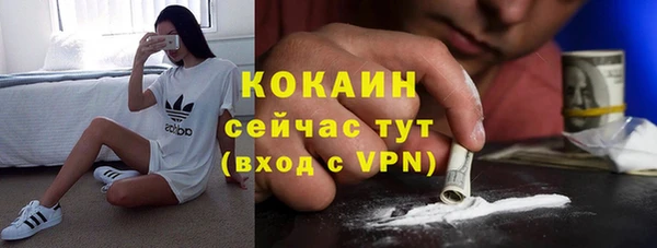 крисы Бронницы