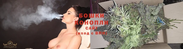 крисы Бронницы