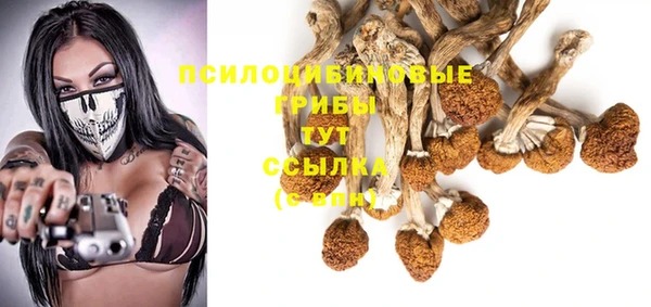 крисы Бронницы