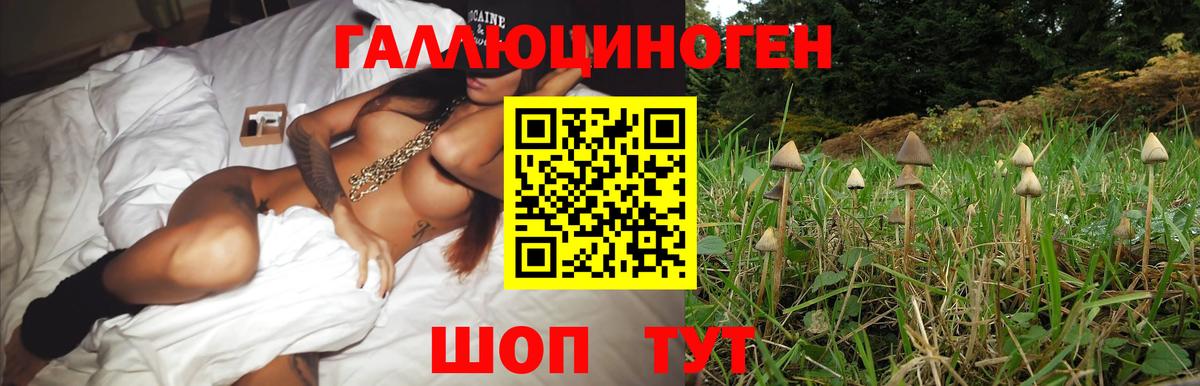 Галлюциногенные грибы Cubensis Выборг