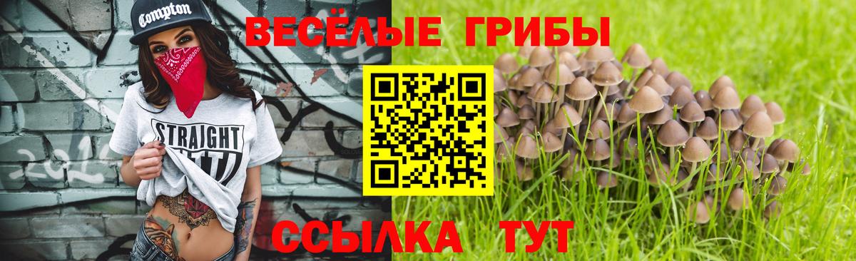 Выборг  Галлюциногенные грибы мухоморы  Вход с VPN  Галлюциногенные грибы Psilocybe 